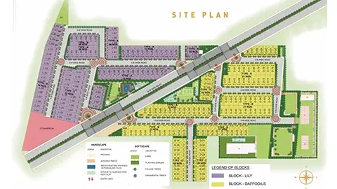 Site Plan